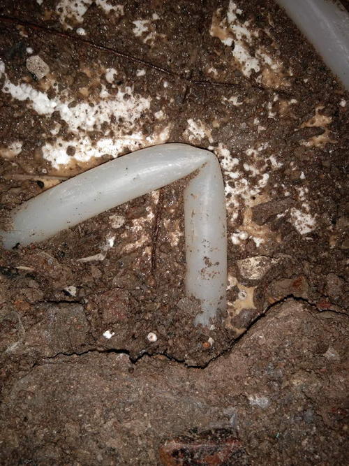 隆林堵点精准查找